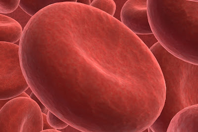 Os melhores anticoagulantes naturais