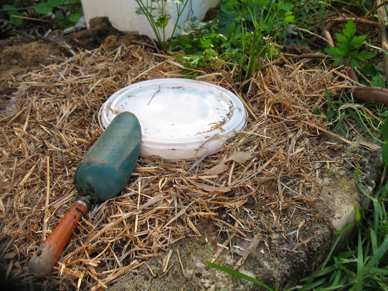 Sustainaburbia Okey's Loo; How to make a dog poo worm farm