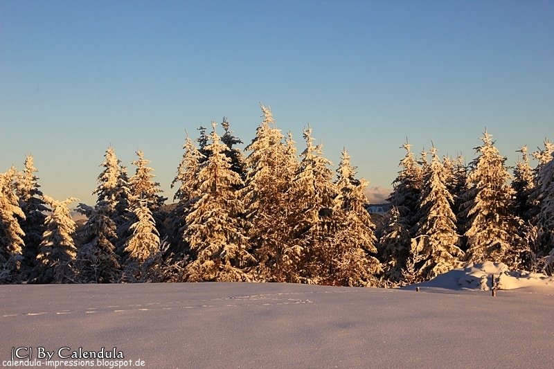 Schnee Winter Schauinsland Sonnenuntergang