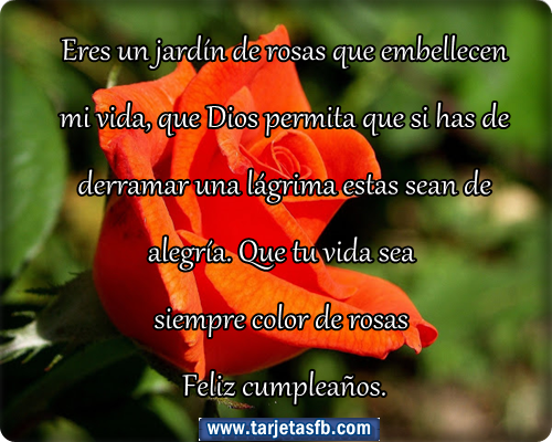 para Amor y Amistad: Tarjetas de rosas con frases de cumpleaños para para Amor y Amistad: Tarjetas de rosas con frases de cumpleaños para