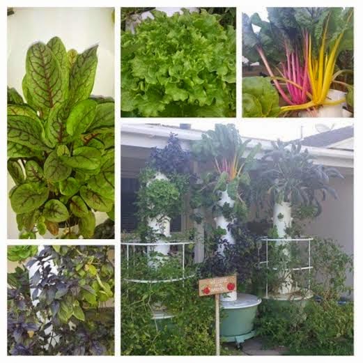 Wood Streets Gardens: Tower Gardens: Aeroponic Growing Systems Provide