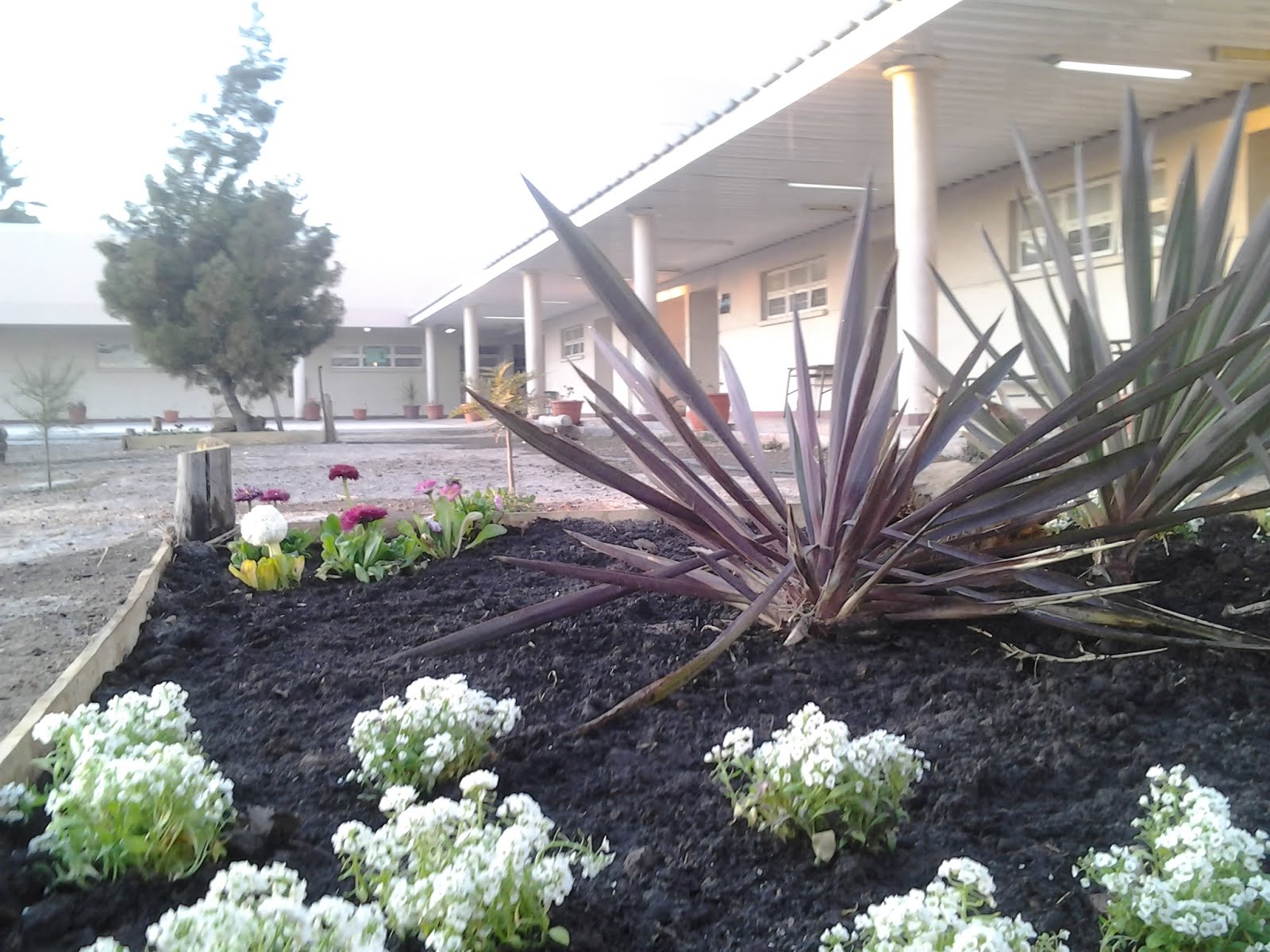 NUEVOS CANTEROS EN LOS JARDINES DE LA ESCUELA