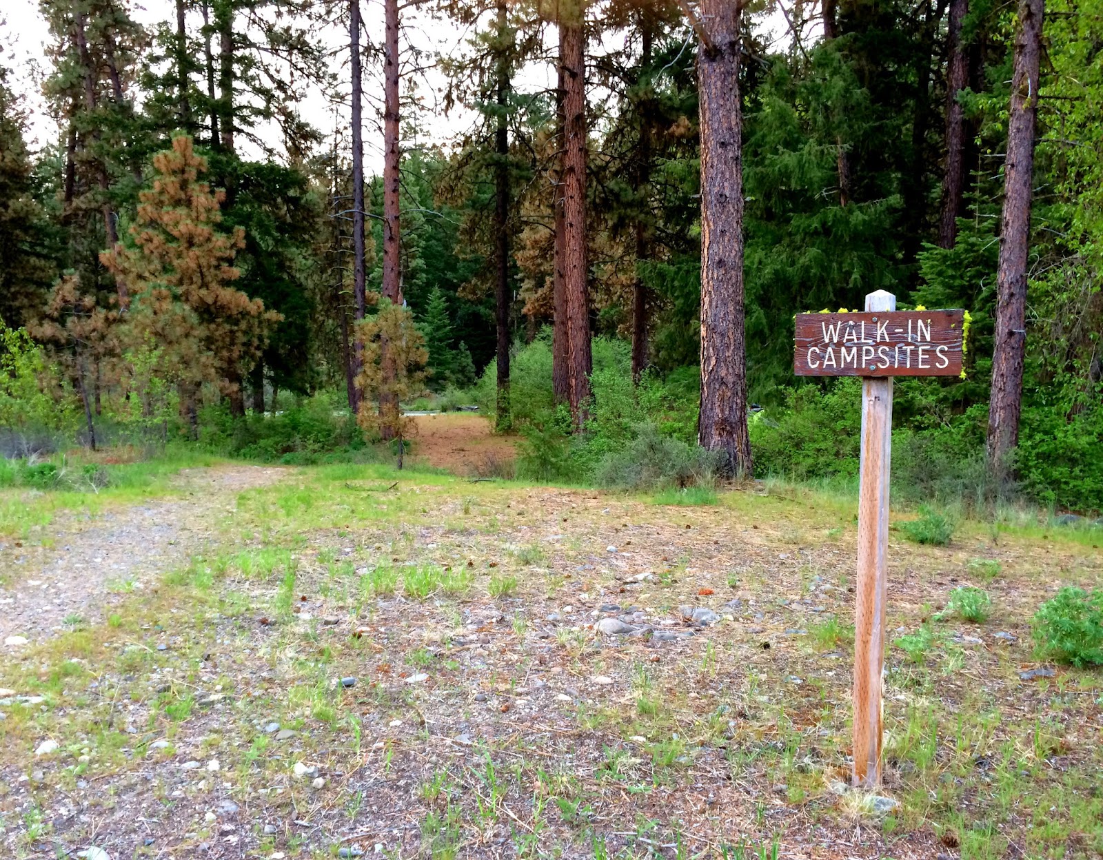 Camp Jackalope Camp at Bumping Lake Lower Campground
