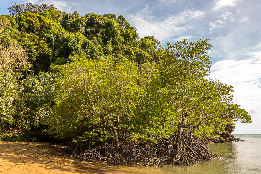 The last days on the Railay.