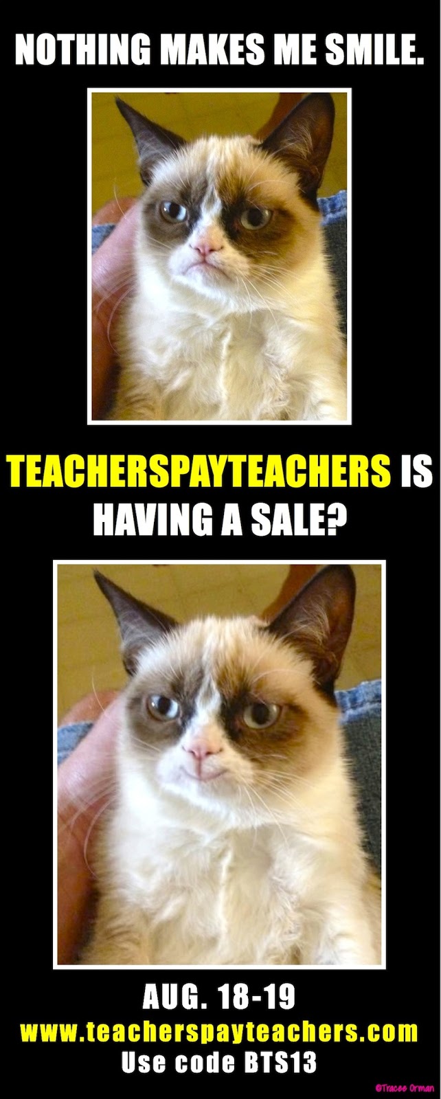 Teacher Memes Grumpy Cat Teacher Memes Grumpy Cat