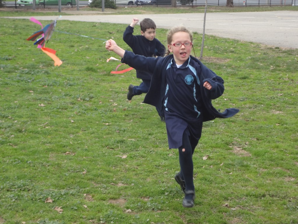 Look at those kites fly!