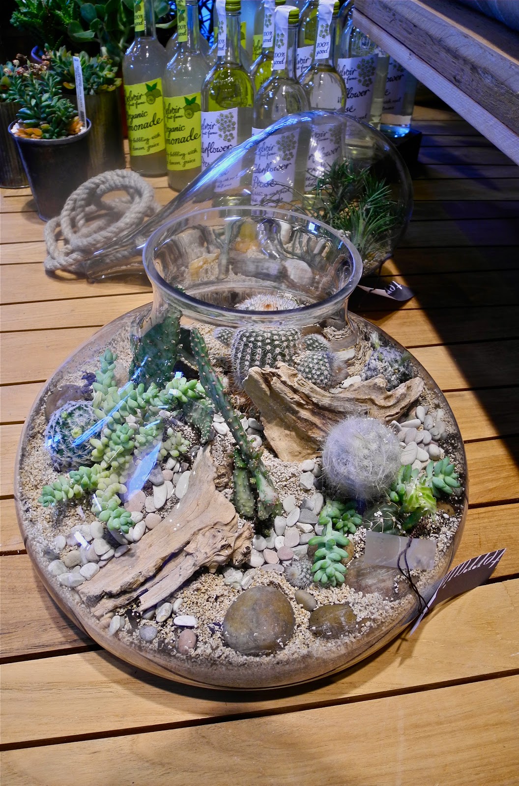 SeaglassSundays Terrain Westport