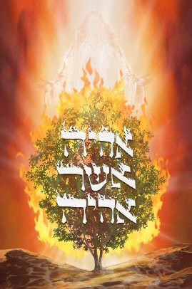 Титулы Бога - Страница 4 Burning-bush