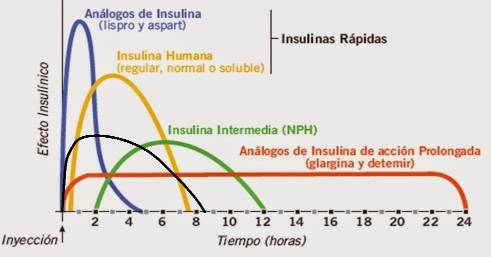 DIABETES Un Estilo De Vida : LA INSULINA DIABETES Un Estilo De Vida : LA INSULINA