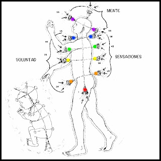 Gran Espíritu estás en mí: Los 7 Chakras Mayores: Vista frontal y posterior
