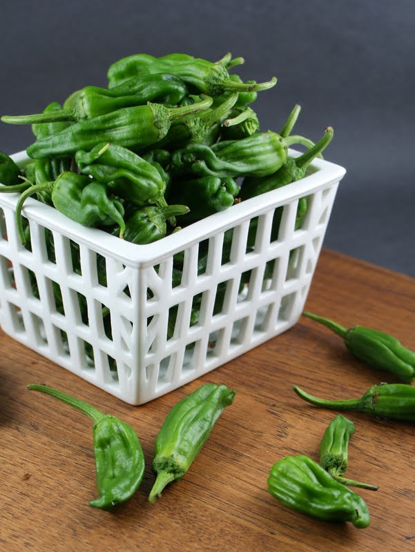 Authentic Suburban Gourmet Cast Iron Padron Peppers