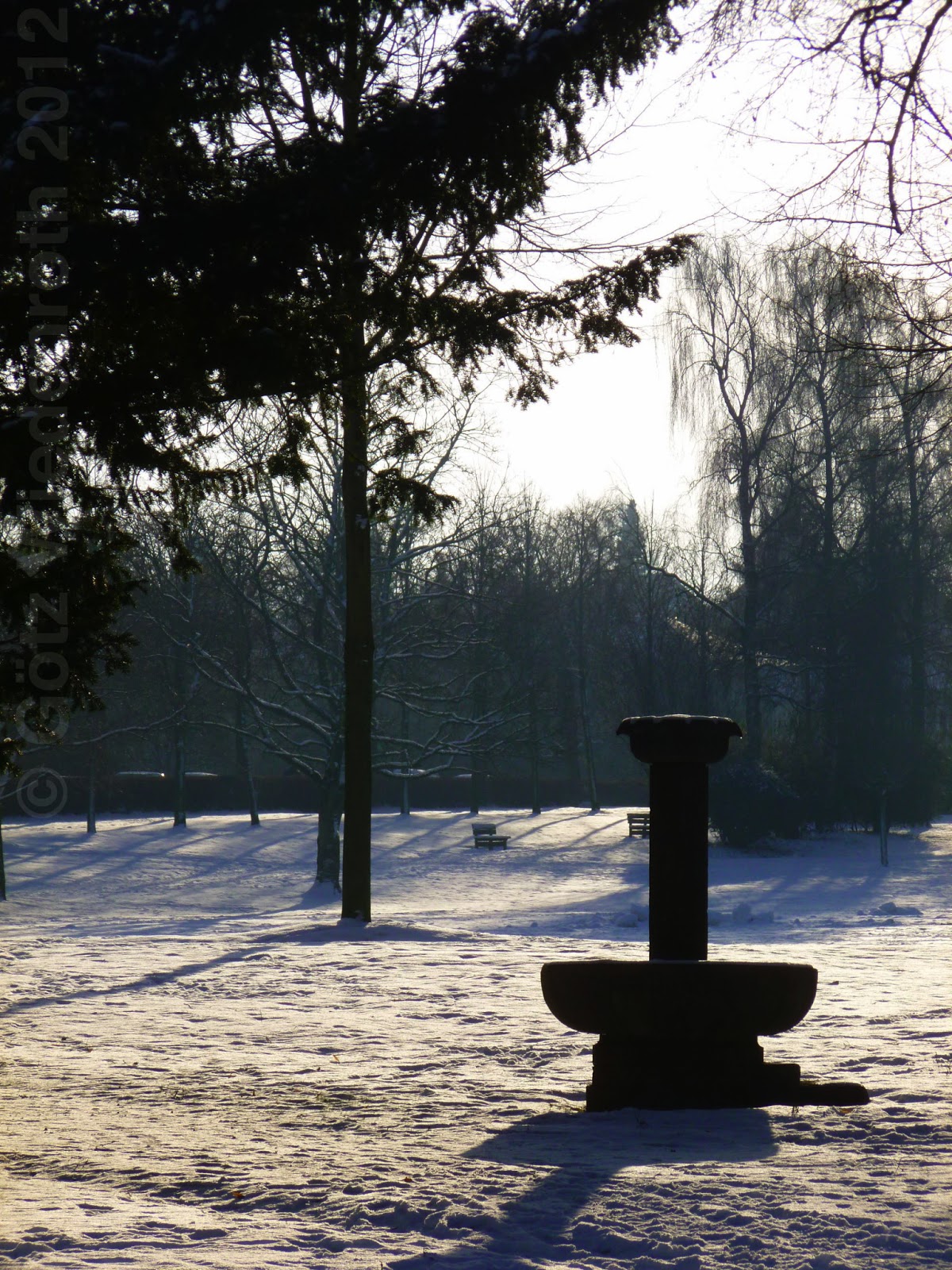 Download Hauptprogramm Dgvs 2012 Viszeralmedizin 2013