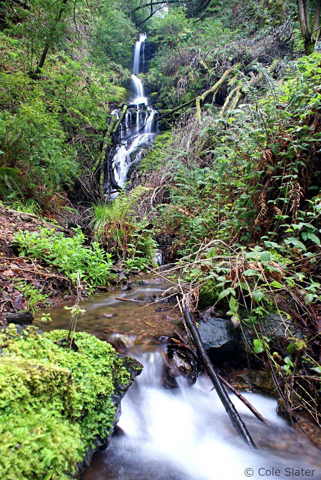 Cole's Trail Tales Day Hike Devil's Gulch , Stairstep Falls Samuel