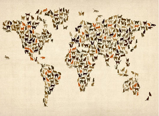 Поговорим о кошках31