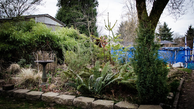 The Rainy Day Garden In The Twilight Of Autumn
