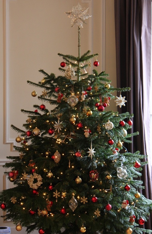 les plus beaux sapins de noel les chics filles grand concours du plus beau sapin de no 235 l les plus beaux sapins de noel les chics filles grand concours du plus beau sapin de no 235 l