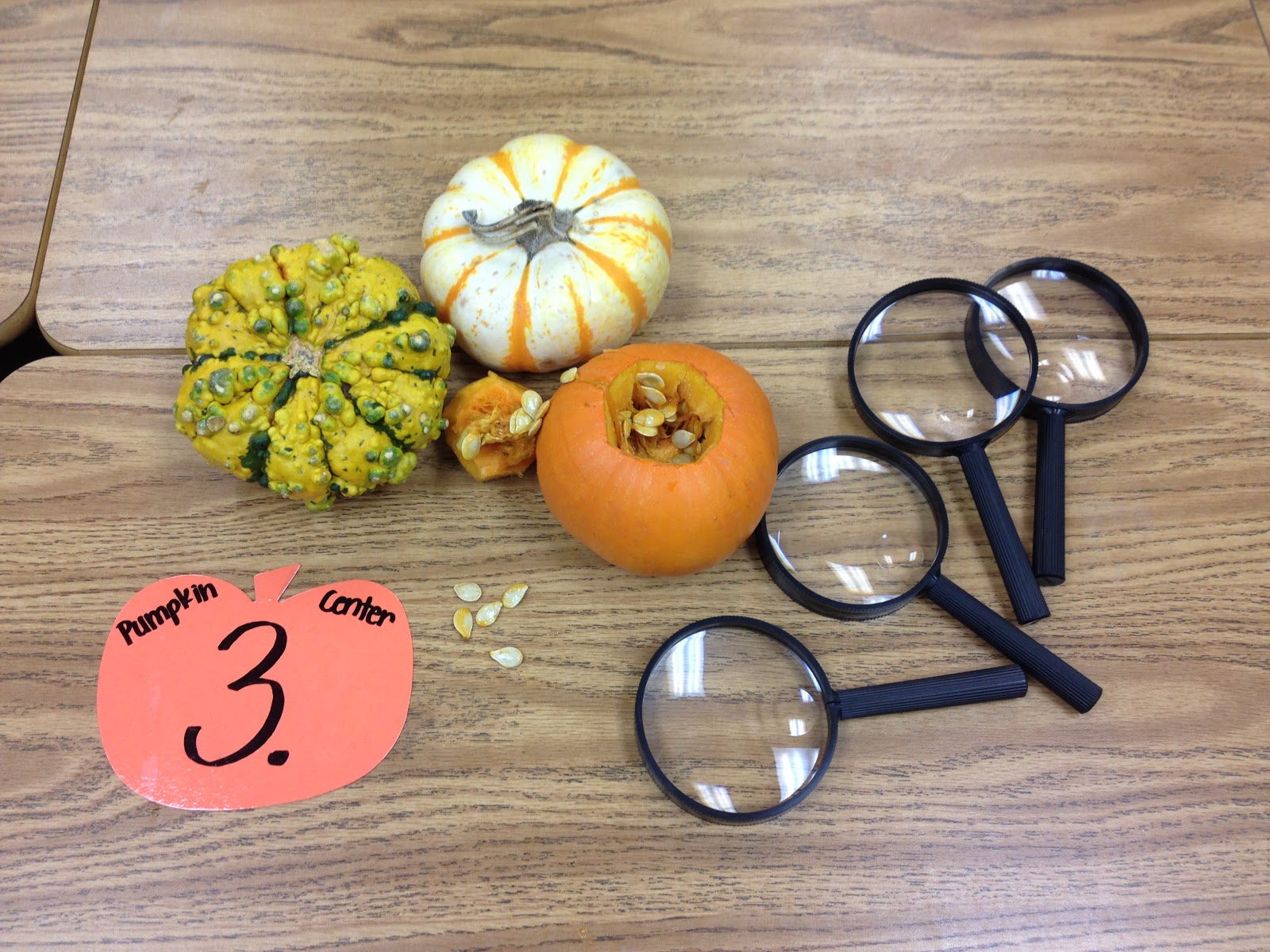 Teaching With Terhune Pumpkin Centers and Activities!