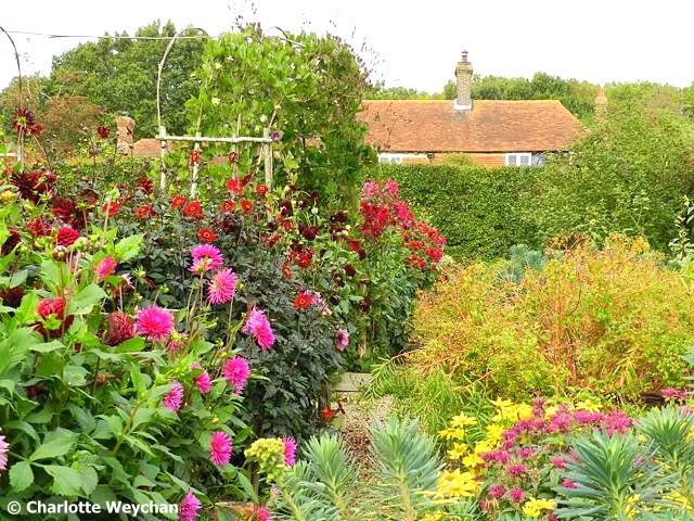 The Galloping Gardener: Sarah Raven’s Cutting Garden - NGS opening this