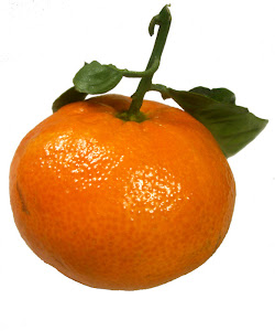 a tangerine