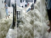 Σοκάρουν οι φωτογραφίες από Κινέζικο εργοστάσιο noodles