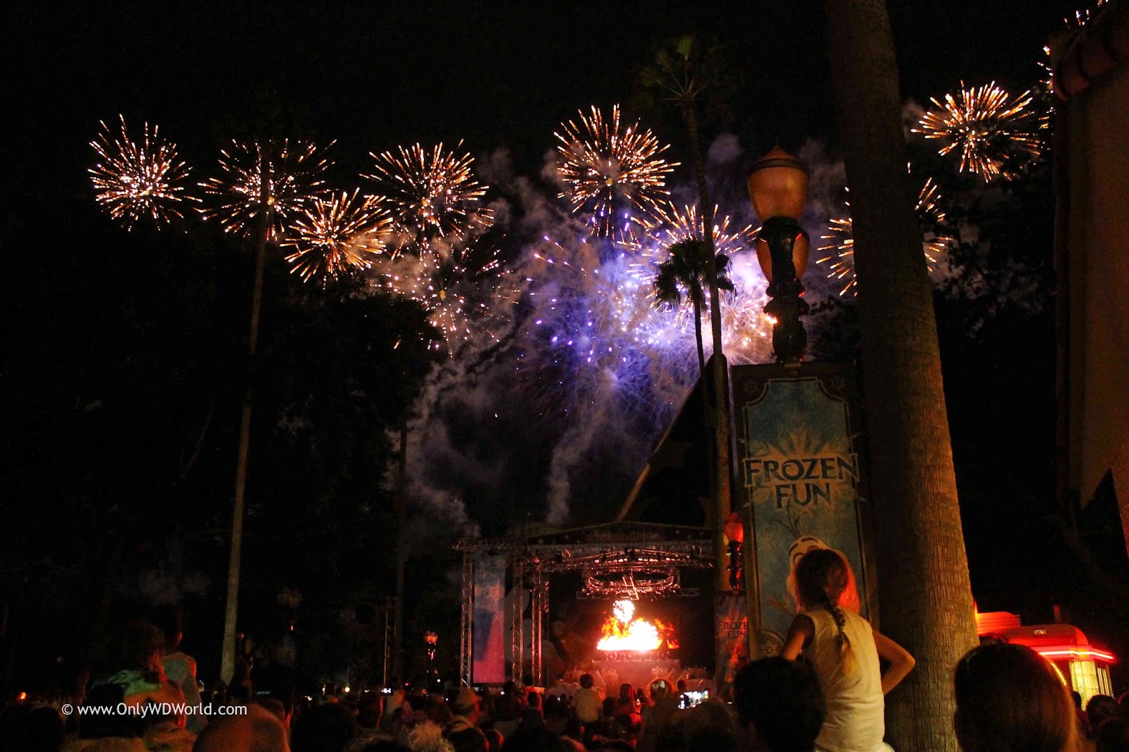 Fireworks at Disney's Hollywood Studios - The Rare Disney World Treat