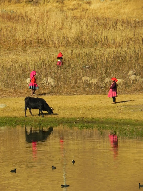 Laguna Wilcacocha na Cordilheira Negra em Huaraz no Peru