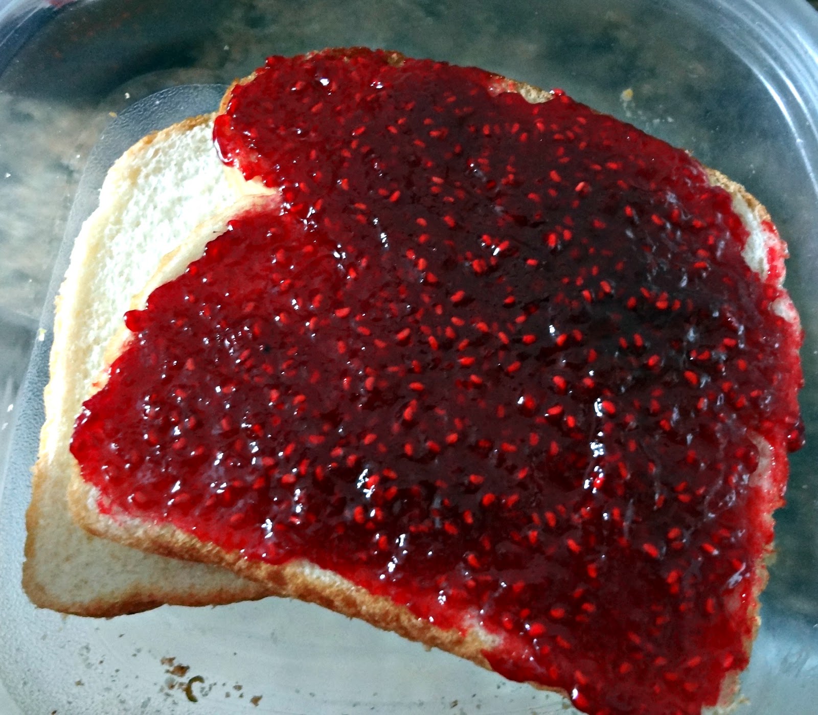 The Cooking Actress Raspberry Jam (Pectin Free)