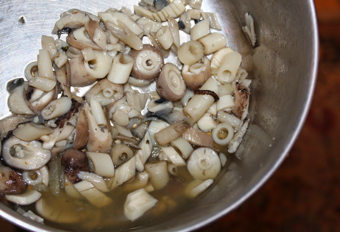 Rusty Ring Hermitcraft Shaggy Mane Mushrooms