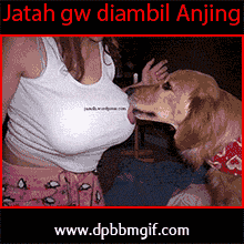 Gambar Lucu Pictures anjing Gambar Lucu Pictures anjing nafsu