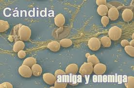 TRATAMIENTO DIETÉTICO CANDIDIASIS