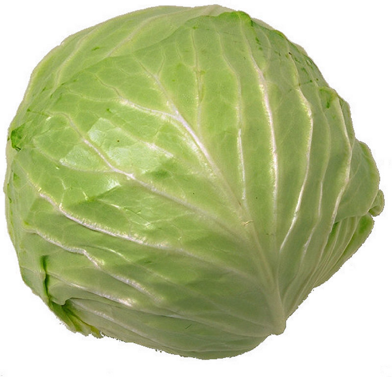 Scary Cabbage