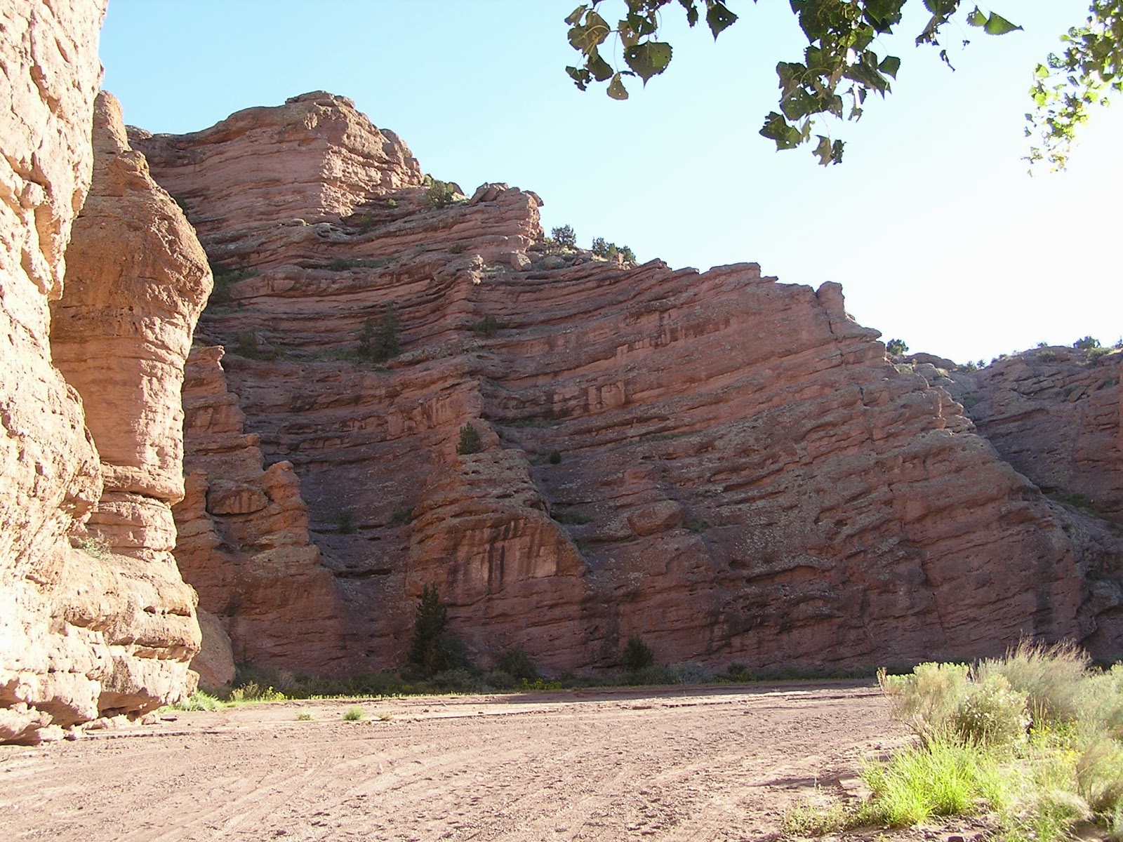 Texas Gypsies Socorro, New Mexico