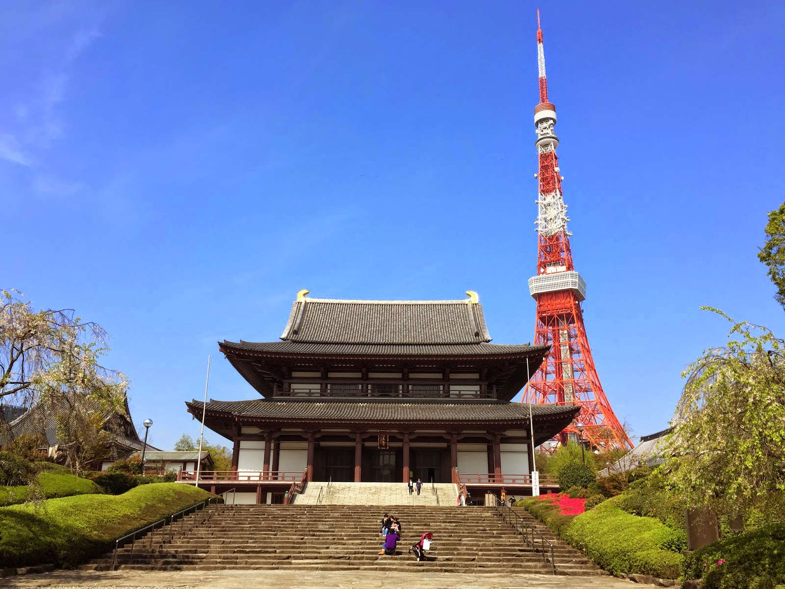 Tokyo Excess The Tokyo Tower Experience (The Classic Red One) and