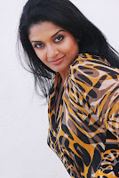 Vimala, Raman, Latest, Photoshoot, Gallery