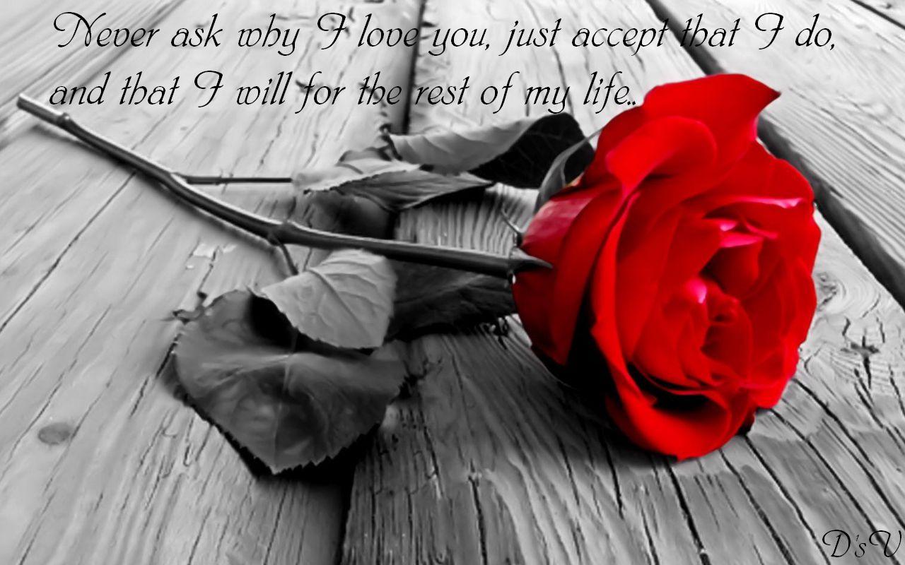 http://2.bp.blogspot.com/-3Lz_J-eJfWc/UCTbvS3XSjI/AAAAAAAAArA/DjcFJdy6rrk/s1600/love%2Blove%2Bimages%2Blove%2Bwallpaper%2Bromantic%2Bromantic%2Blove%2Bimages%2Bkiss%2Bcouple%2BCute%2Blove%2Bnew%2Blove%2Bimages%2Blove%2Blove%2Bimages%2Bwallpaper%2Bsmile%2Blove%2B(59).jpg