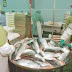 Trabajadores del salmón: “La industria no aprendió nada de la crisis del virus ISA”