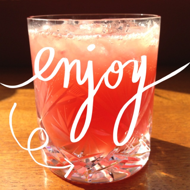 The Diary of an Cook Sloe Gin & Ginger Beer Cocktail