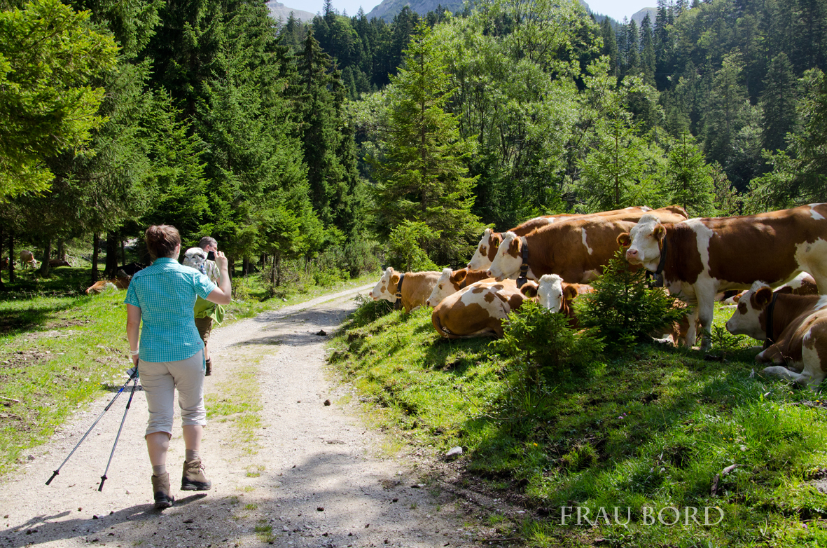 Urlaub single frauen
