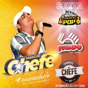 FORRÓ DO CHEFE - JACARÉ POP - 04/01/2013