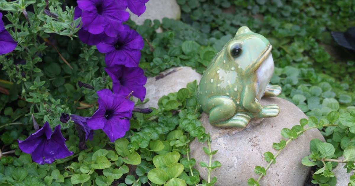 . A garden filled with frogs and tomatoes