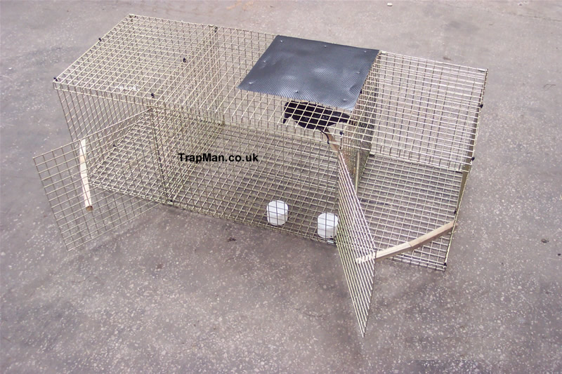 Bird In Everything Bird Trap Plans