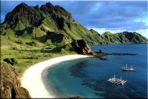 komodo island is the new 7 wonders of the world, seo contest, komodo.me