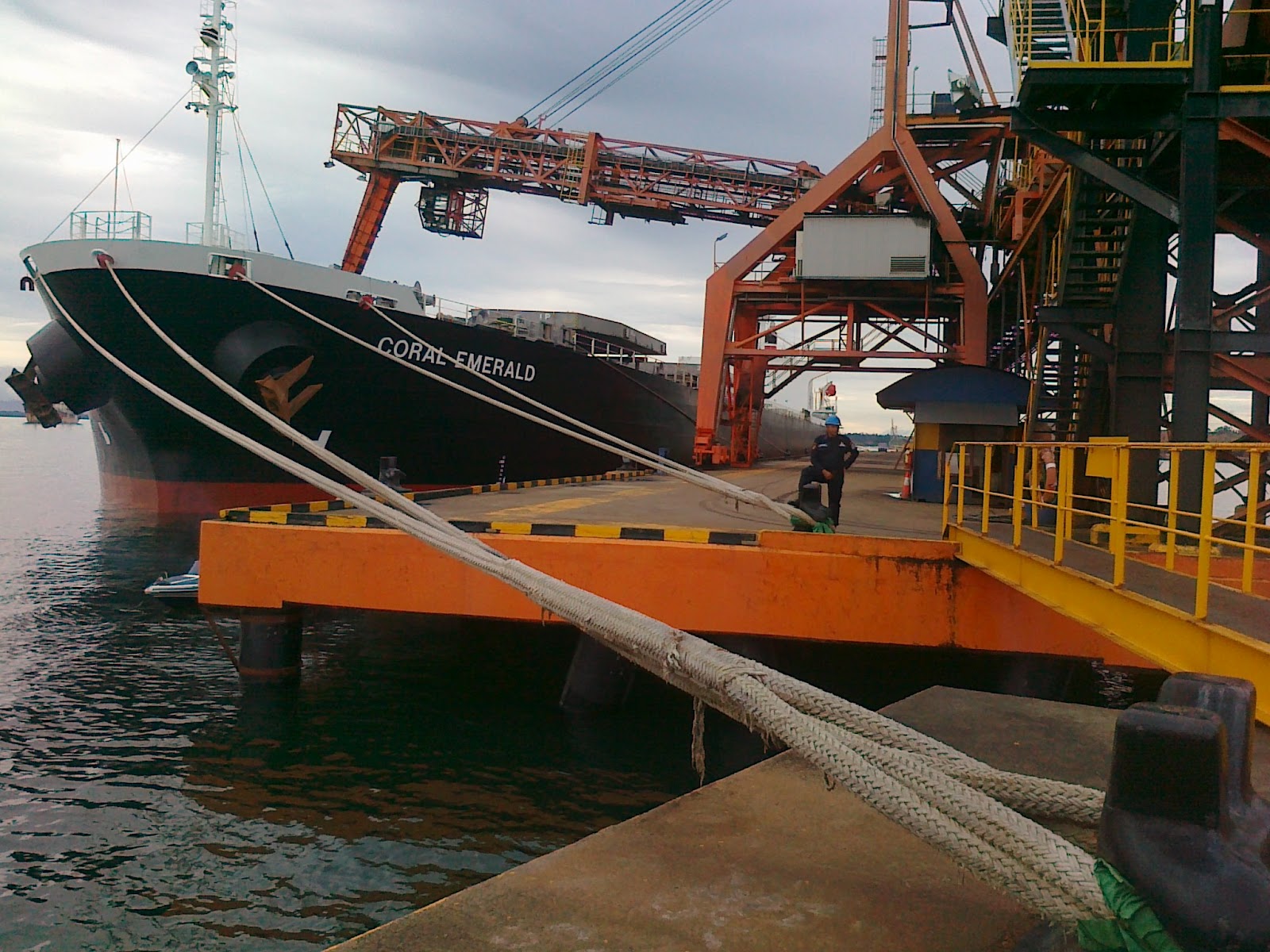 Kegiatan Muat Batu Bara Kapal MV.Coral Emerald DI Balikpapan