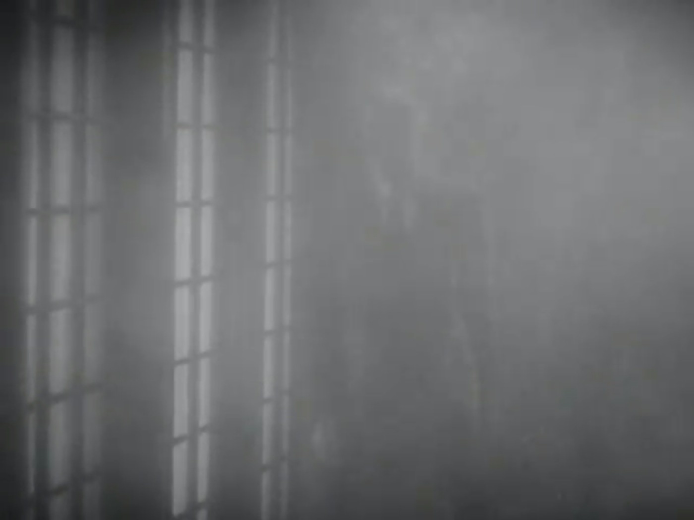 After Midnight: The Vampira Sho...