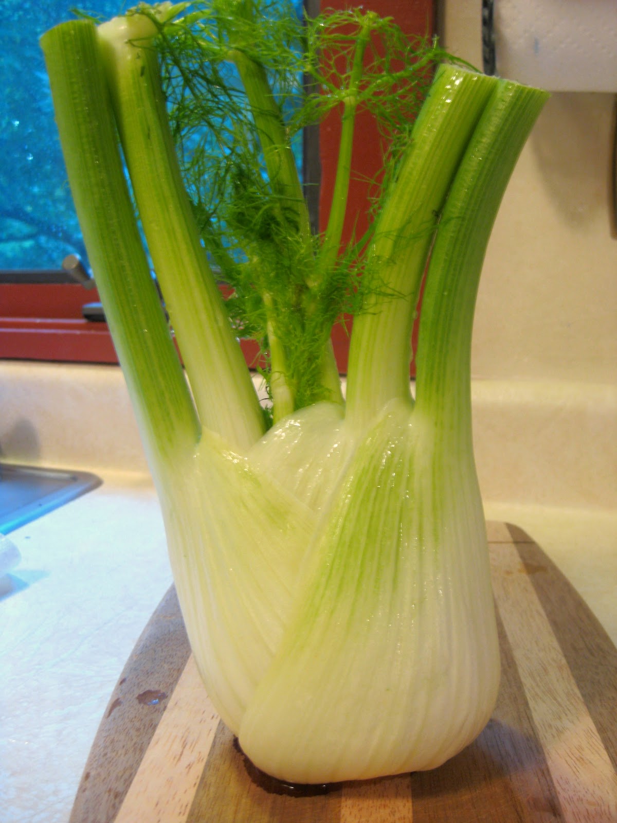 Canning Granny Herbal Medicine Part 3 A Bitter Herb to Swallow