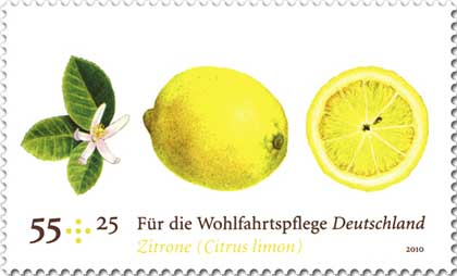 20 fruits in german: the sweet and simple guide to german fruits paper & ink: little news…