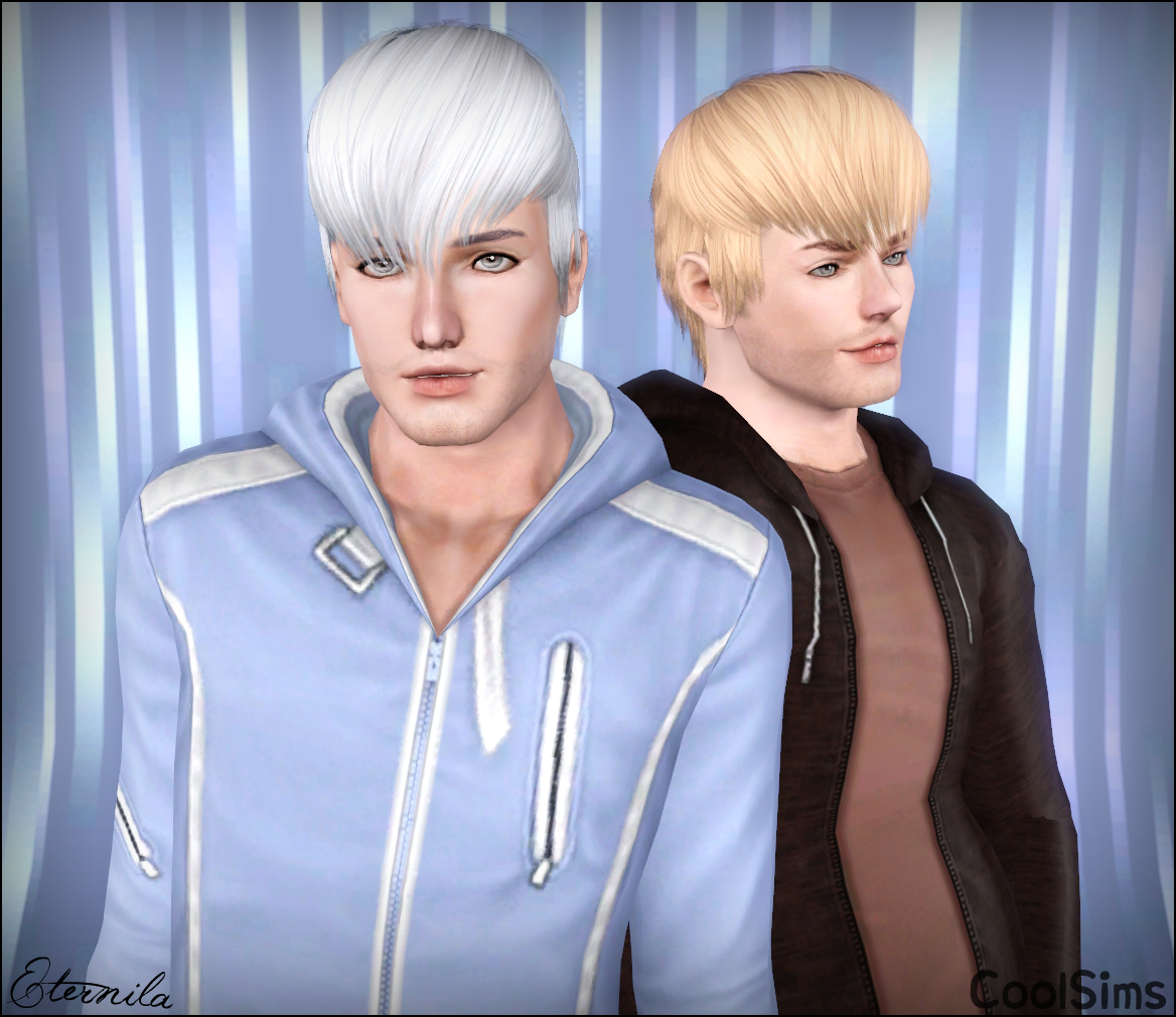 The Sims 3 Карьера / The Sims 3 Ambitions 2010