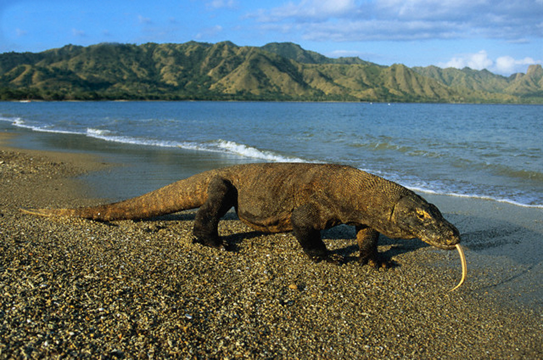 Our Last Night - Age Of Ignorance - YouTube