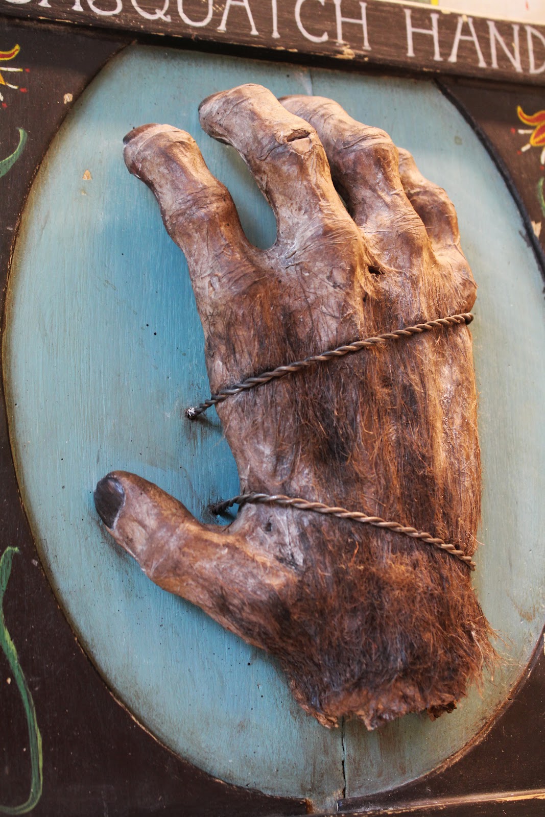Curiomira: Sasquatch hand