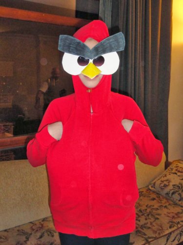 Angry birds costume